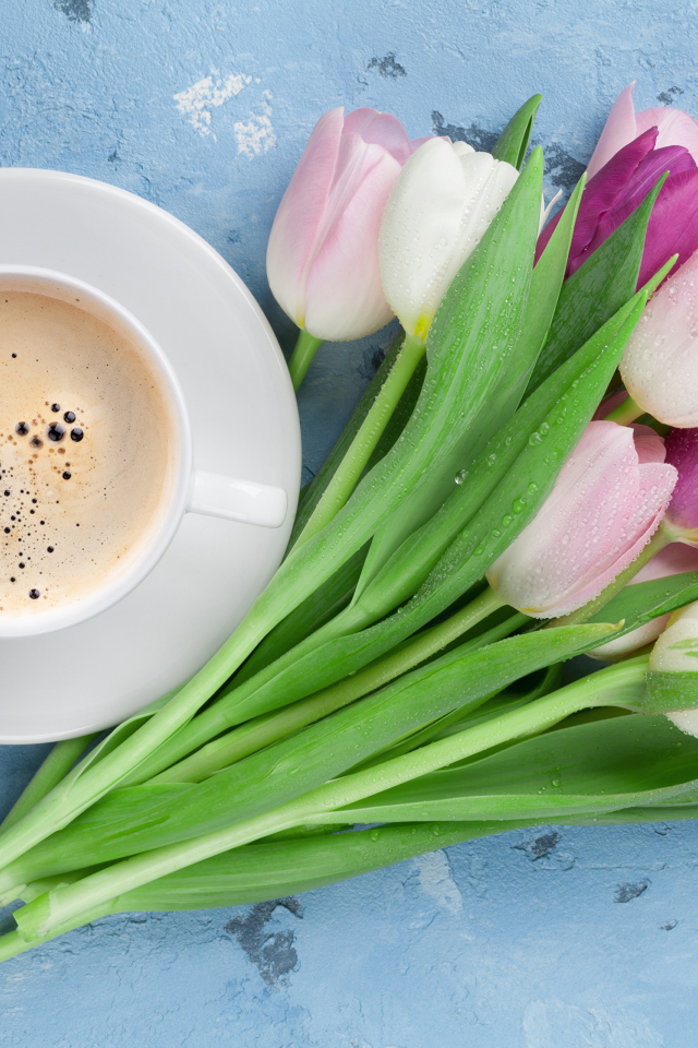 Букет разноцветных тюльпанов с чашкой кофе на голубом столе