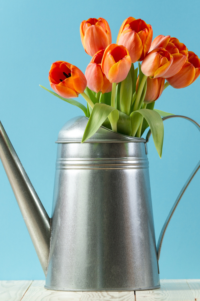Букет тюльпанов в металлической лейке на голубом фоне