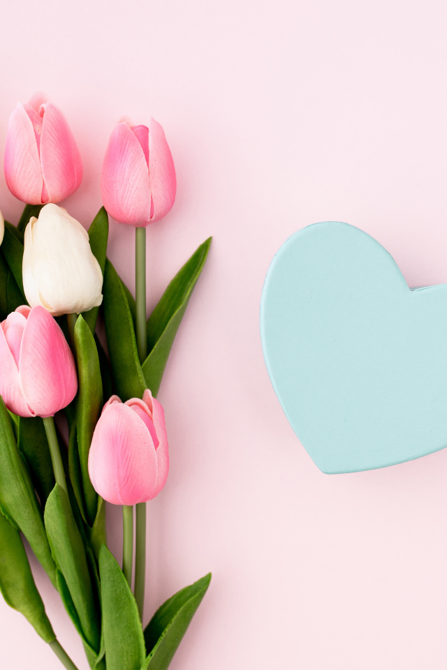 Букет тюльпанов с голубым сердцем на розовом фоне 