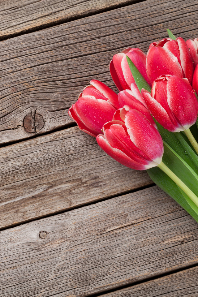 Букет мокрых красных тюльпанов на деревянном столе