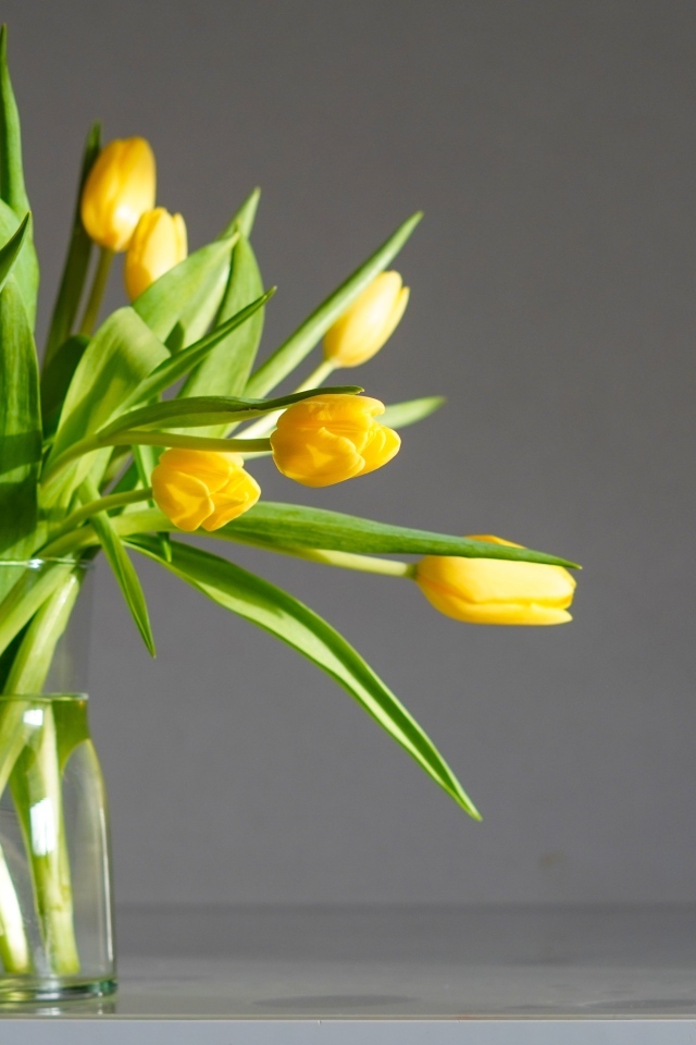 Букет желтых тюпанов с стеклянной вазе на сером фоне