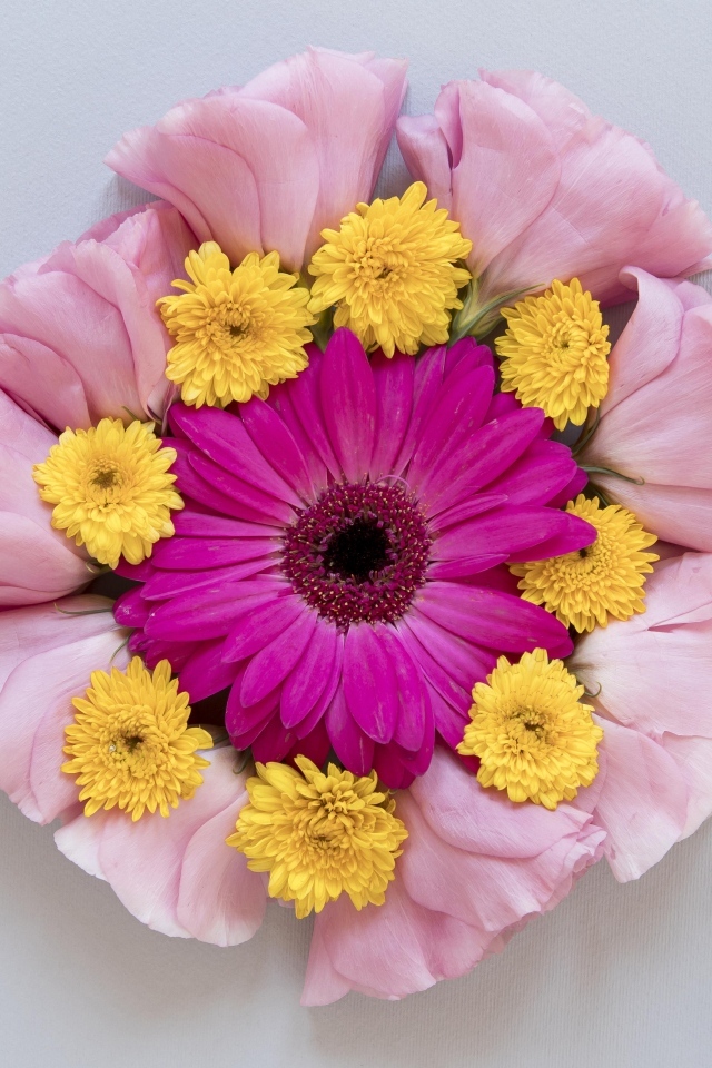 Круг из нежных цветов на сером фоне