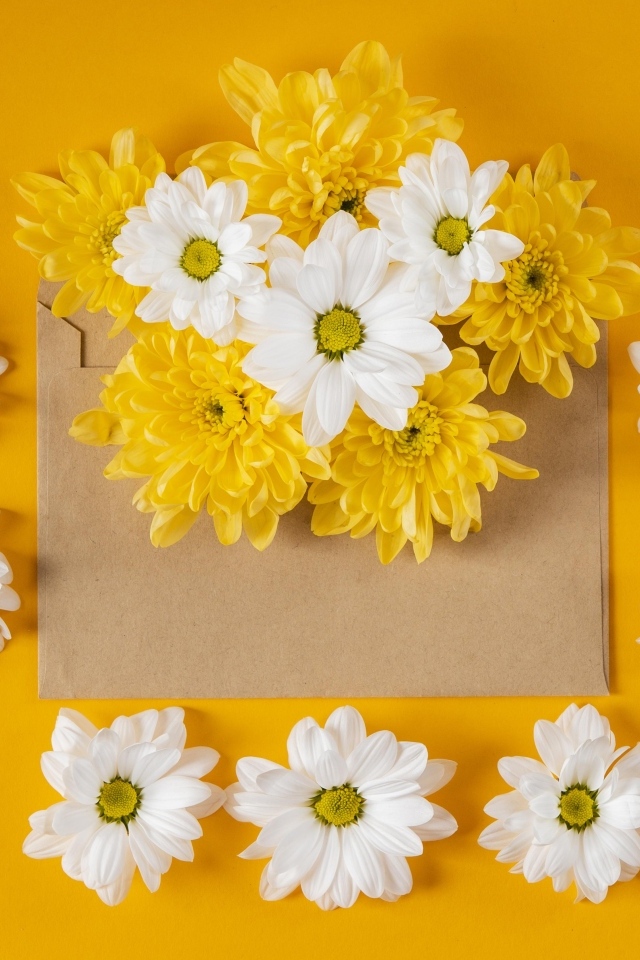 Конверт с желтыми и белыми хризантемами на желтом фоне