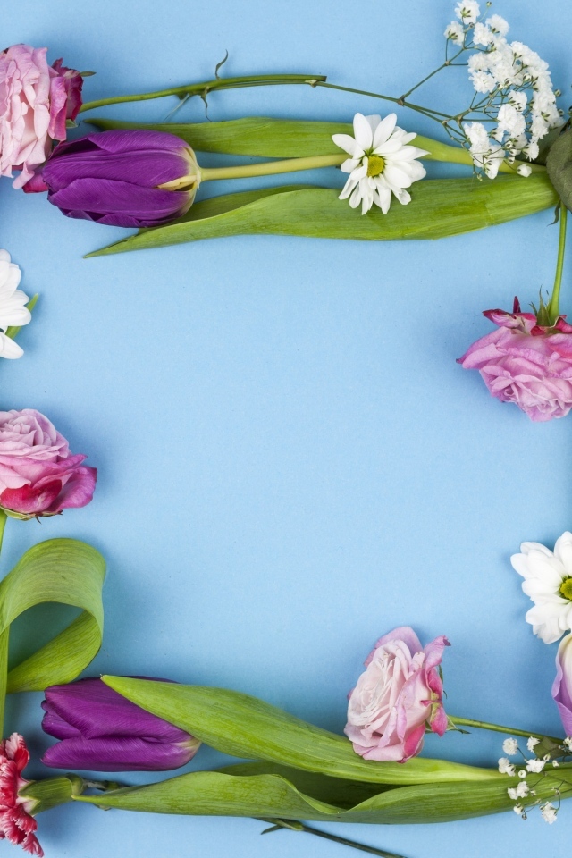 Рамка из разных цветов на голубом фоне