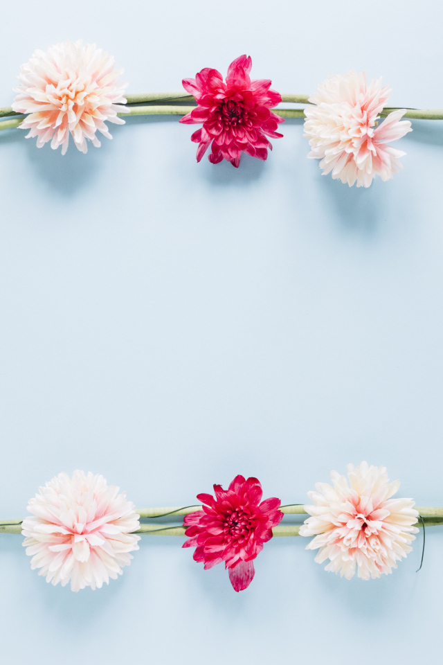 Рамка из разноцветных цветов на голубом фоне