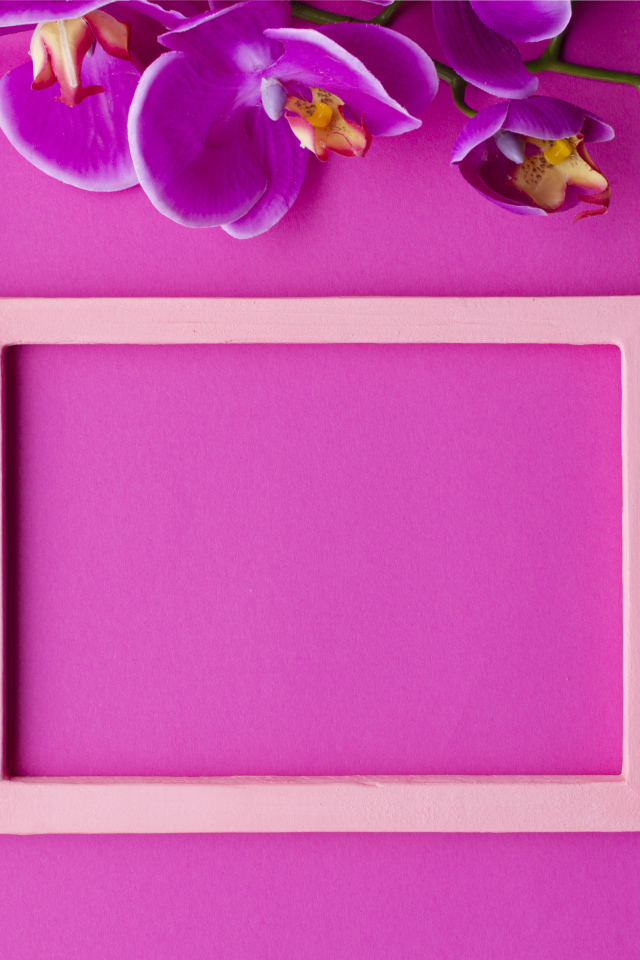 Рамка на розовом фоне с цветами орхидеи, шаблон для открытки