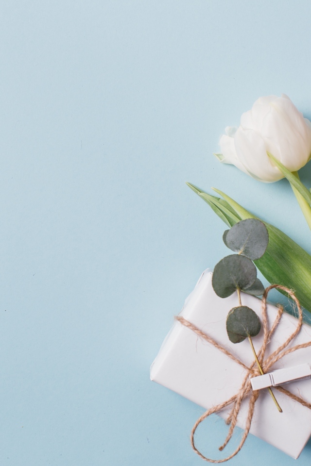 Подарок с тюльпанами на голубом фоне