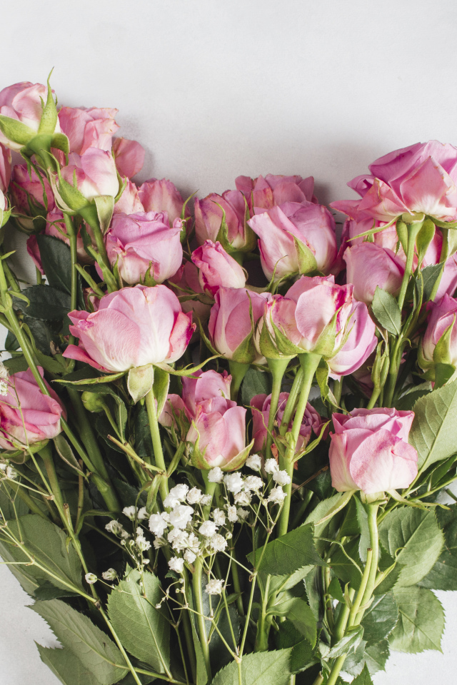 Большой букет розовых роз на сером фоне