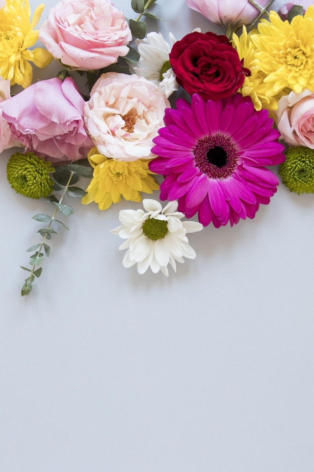 Разноцветные цветы на сером фоне