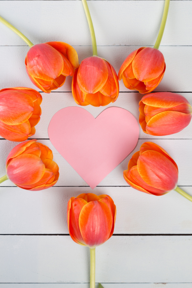 Orange tulips with pink heart on a gray table