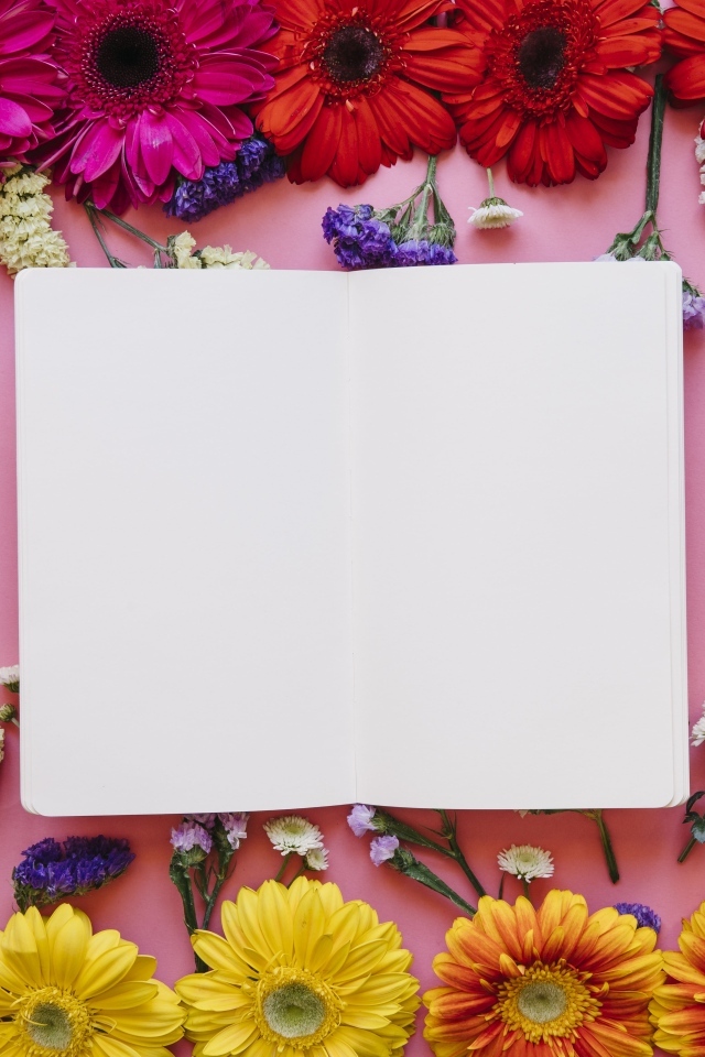 Розовый фон с герберами и белым листом для открытки