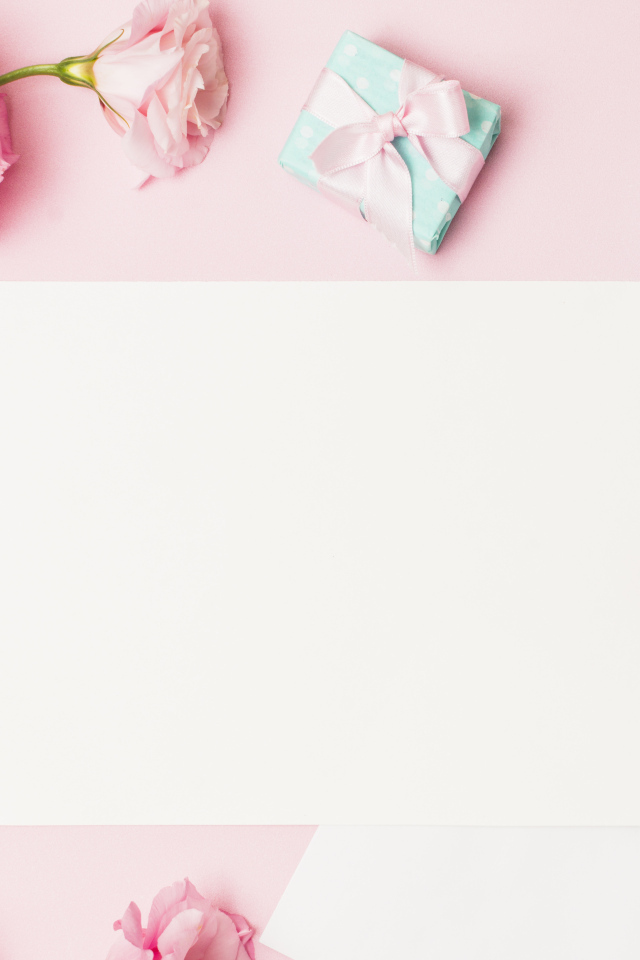 Розовые цветы эустомы с подарками и листом на розовом фоне