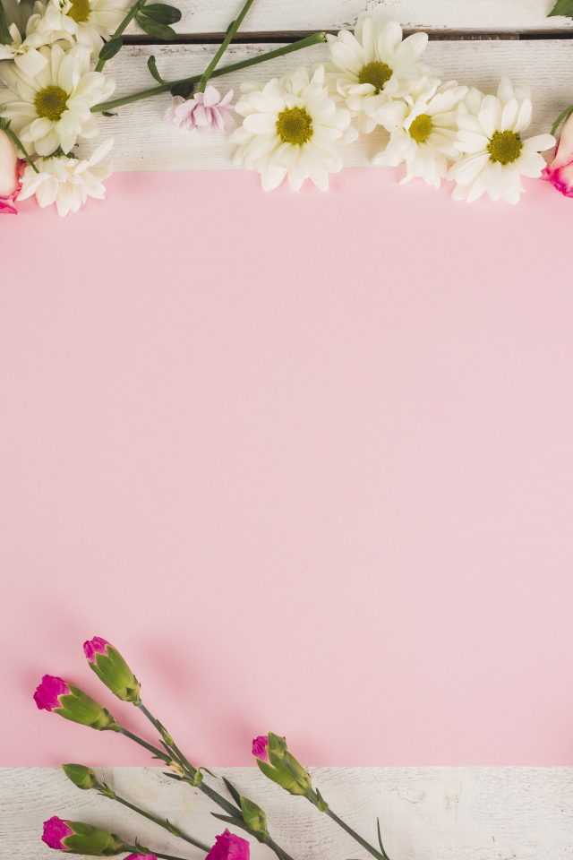 Розовый лист бумаги для открытки с цветами хризантемы