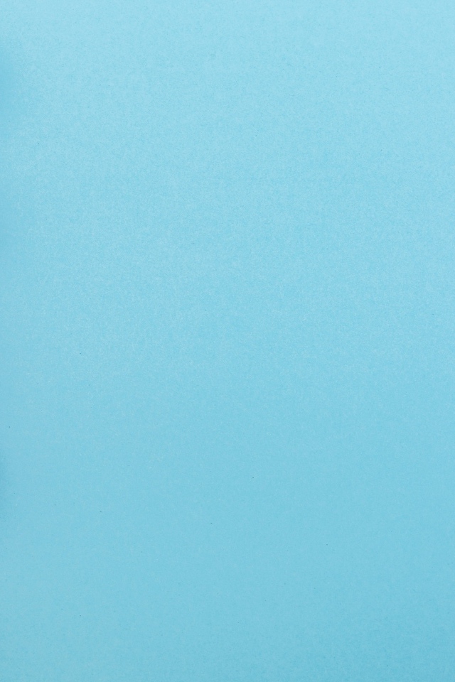 Розовые цветы розы на голубом фоне