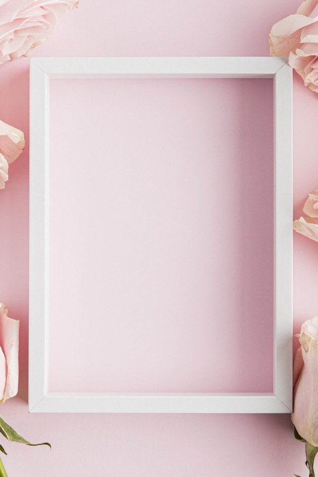 Розовые розы с белой рамкой для открытки