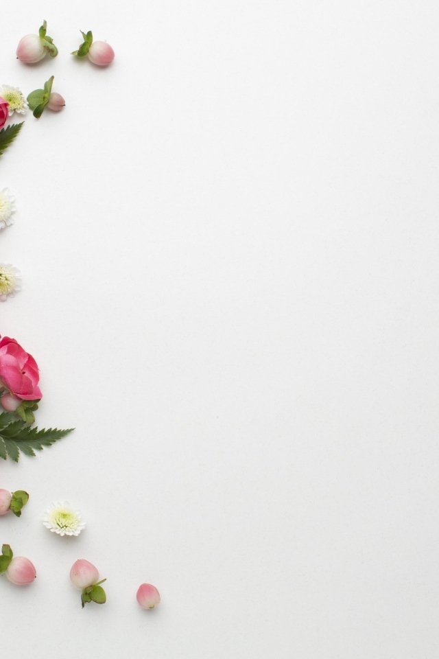 Розовые розы с зелеными листьями на сером фоне