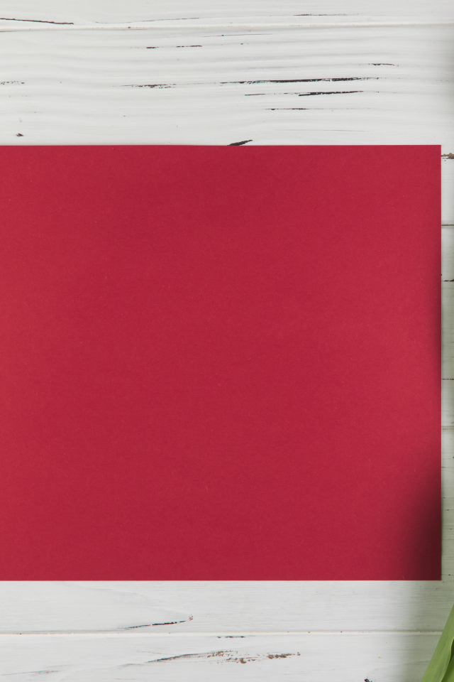 Красный лист бумаги с тюльпанами для шаблона поздравительной открытки