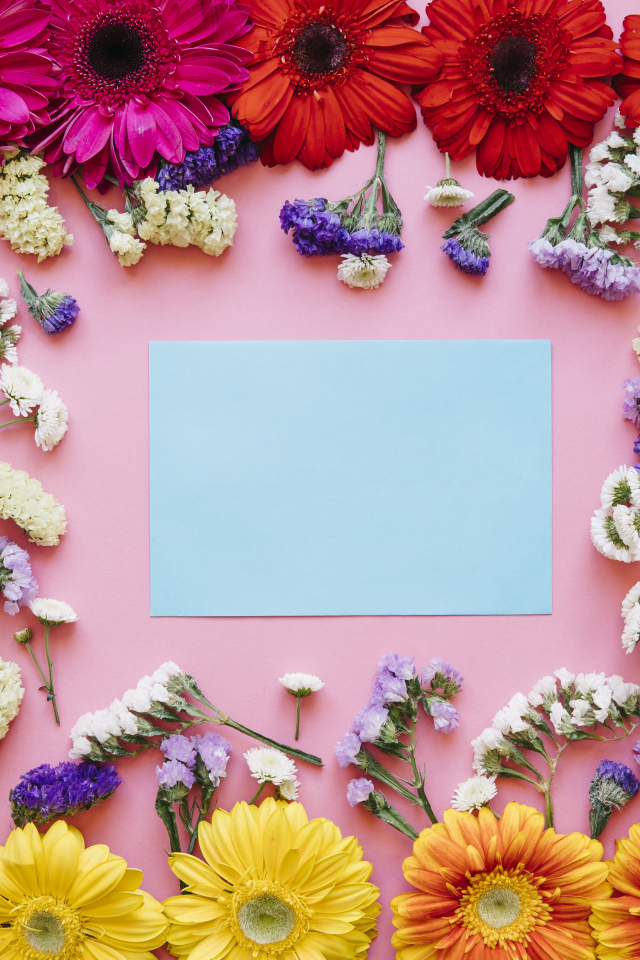 Лист бумаги и герберы на розовом фоне, шаблон