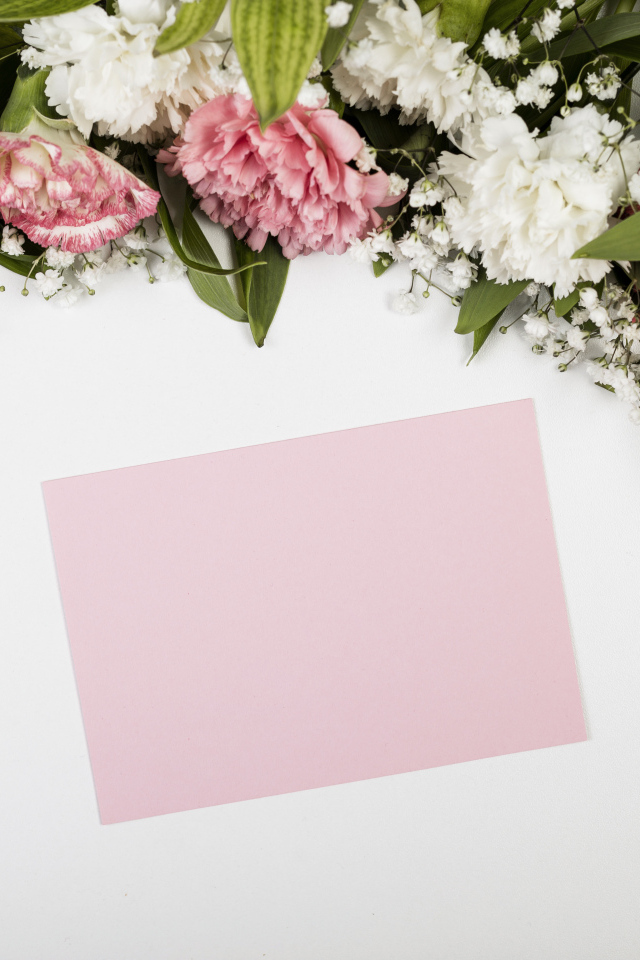 Лист бумаги с цветами гвоздики на сером фоне, шаблон для открытки