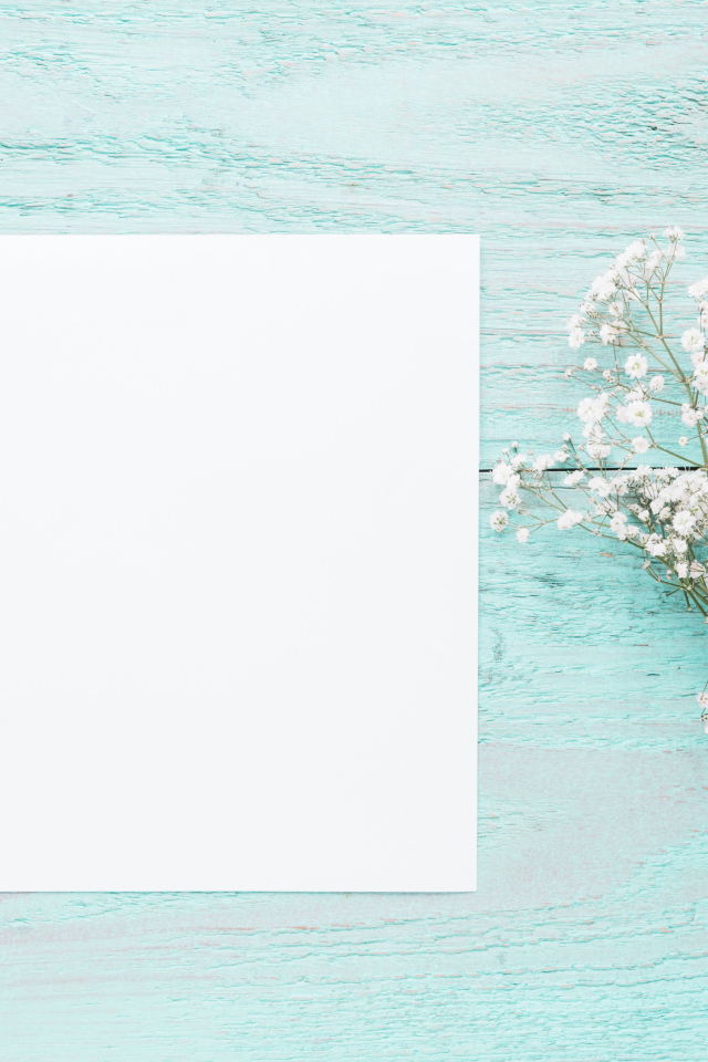 Лист бумаги с белыми цветами гипсофилы на голубом столе