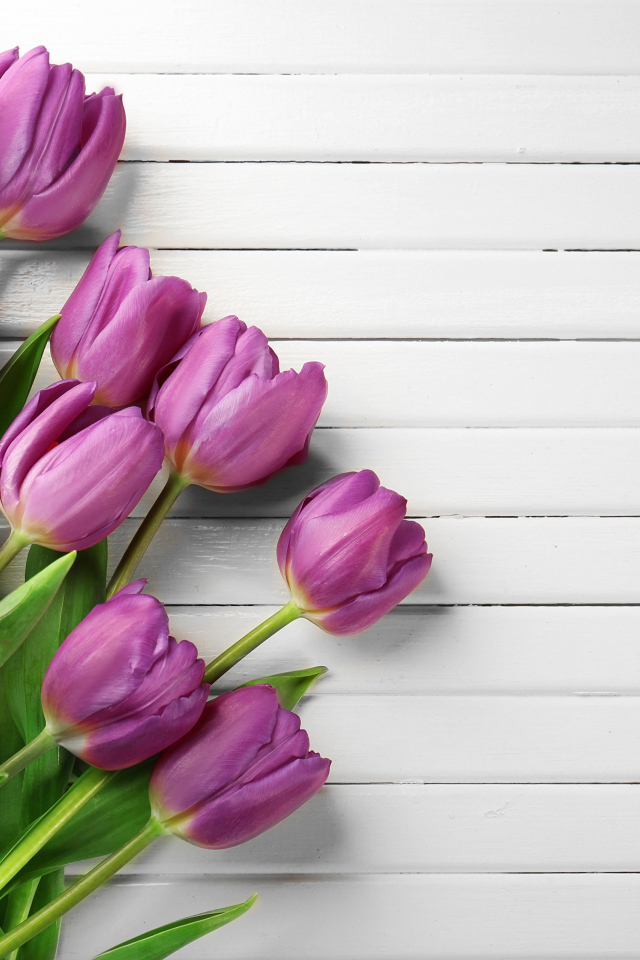 Тюльпаны на белом деревянном фоне