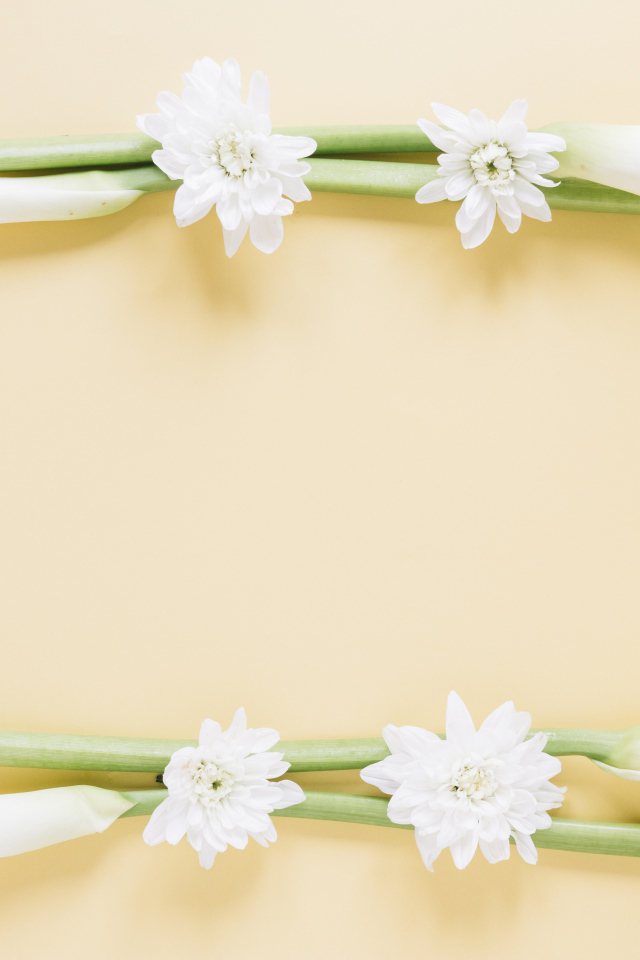 Белые каллы с хризантемами на желтом фоне