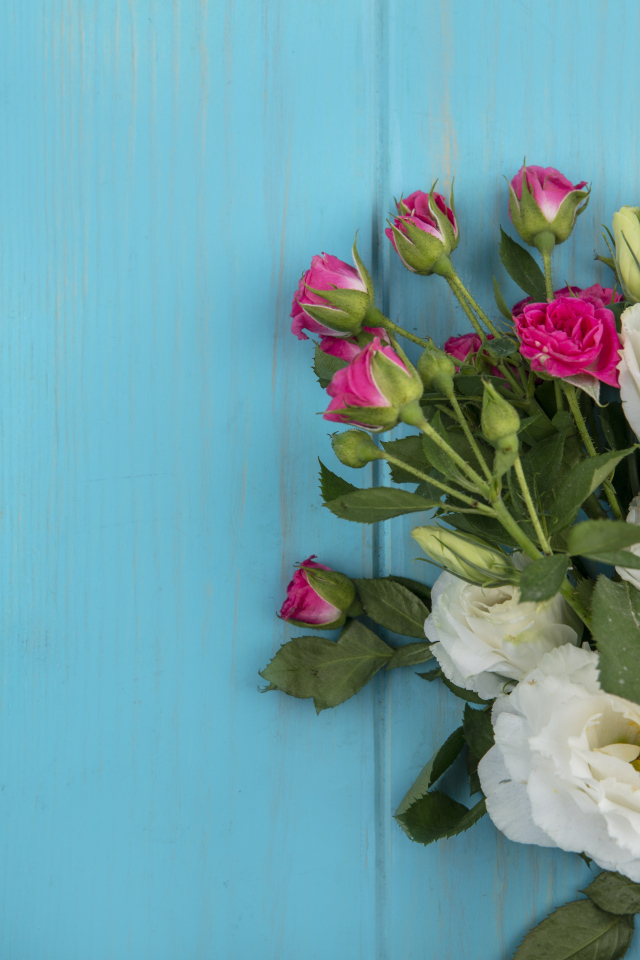 Белые цветы эустомы с розовыми розами на голубом фоне