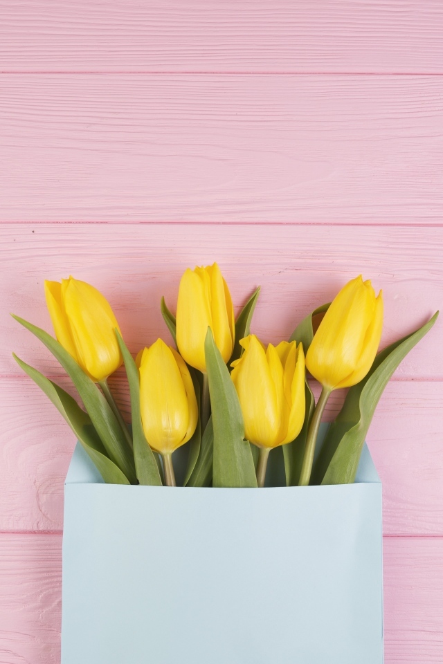 Желтые тюльпаны в конверте на розовом фоне