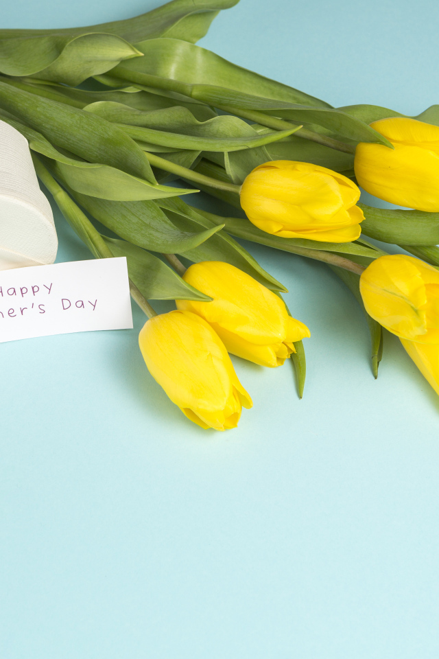 Желтые тюльпаны с подарком на голубом фоне на день матери