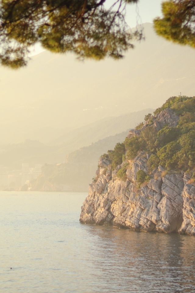 Скала покрытая зеленью на берегу океана