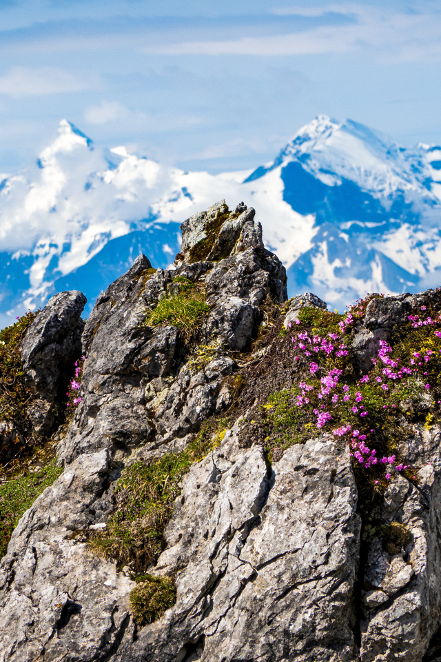 Красивый вид на высокие Австрийские Альпы