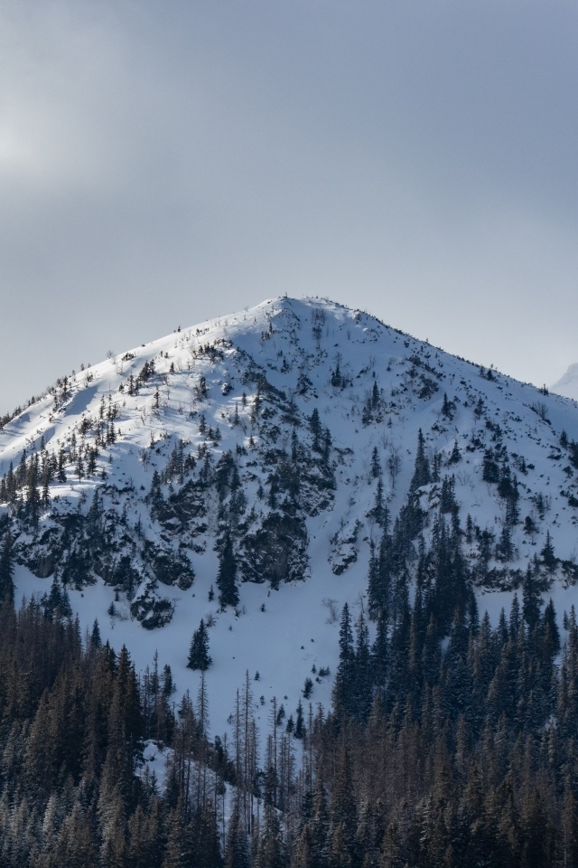 Высокая заснеженная гора под пасмурным небом