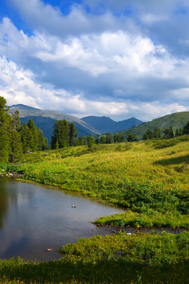 Живописная зеленая горная природа