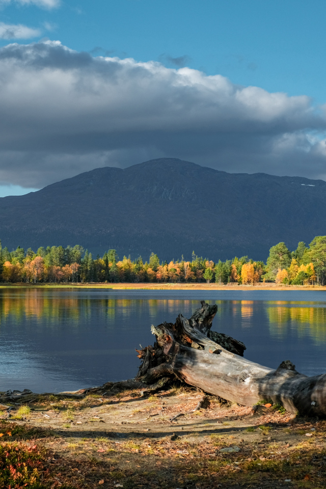 Красивый вид на озеро и гору осенью