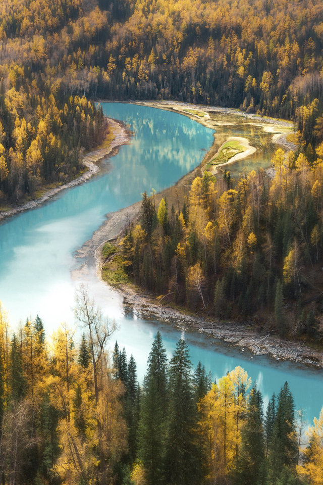 Голубая вода в реке у осеннего леса