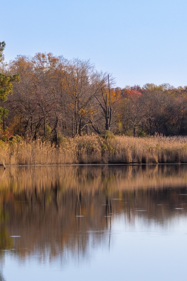 Спокойное озеро в лесу осенью 