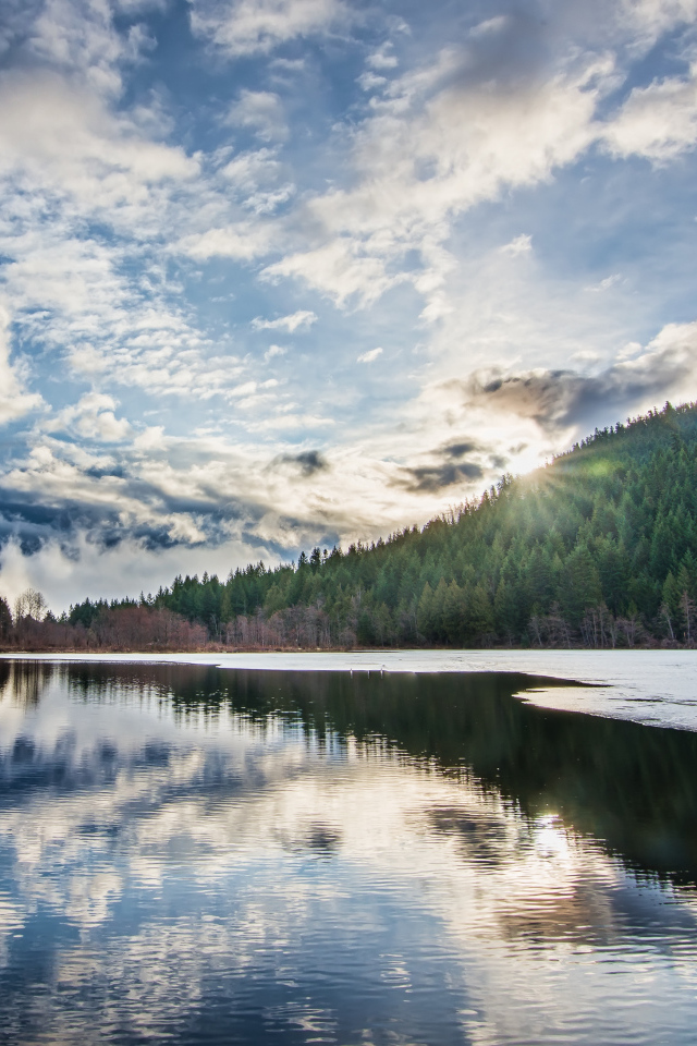 Рассвет яркого солнца над лесом у озера