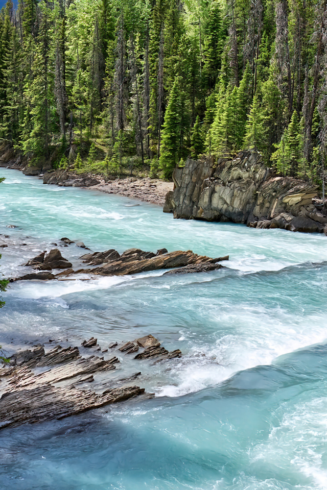 Быстрая голубая горная река с елями на берегу