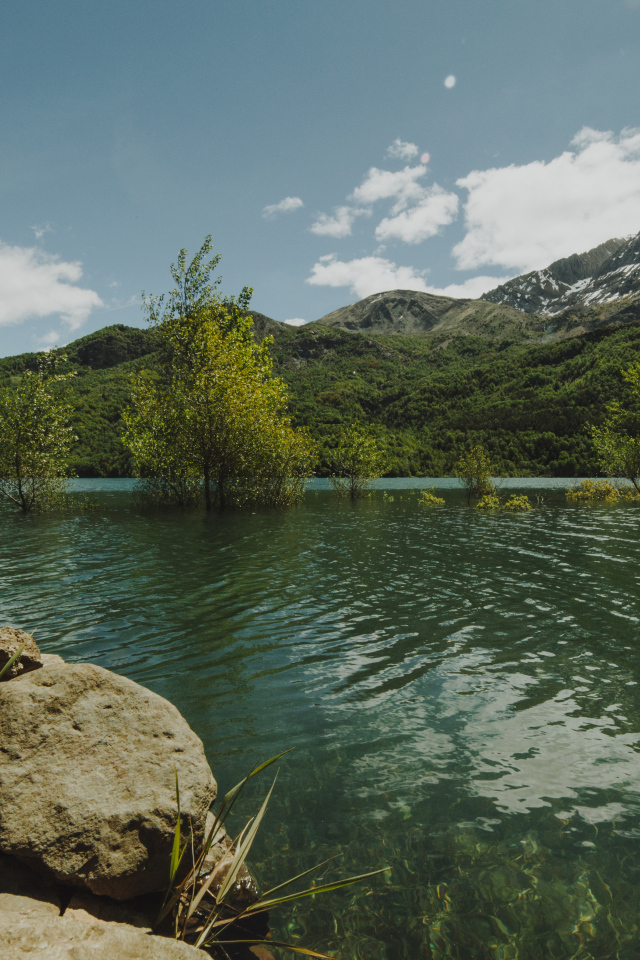 Зеленая вода в реке на фоне гор 