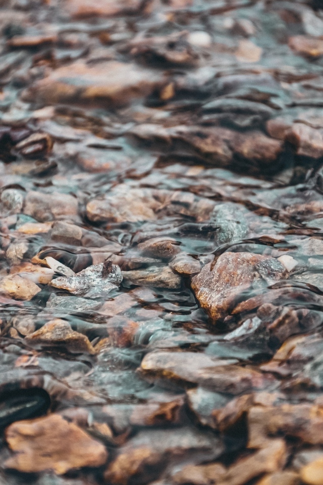 Мелкая река с камнями