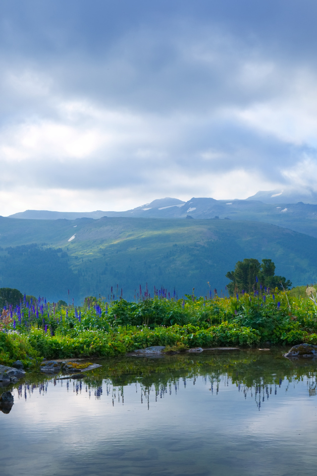 Вид на тихое озеро с покрытыми зеленой травой берегами на фоне гор