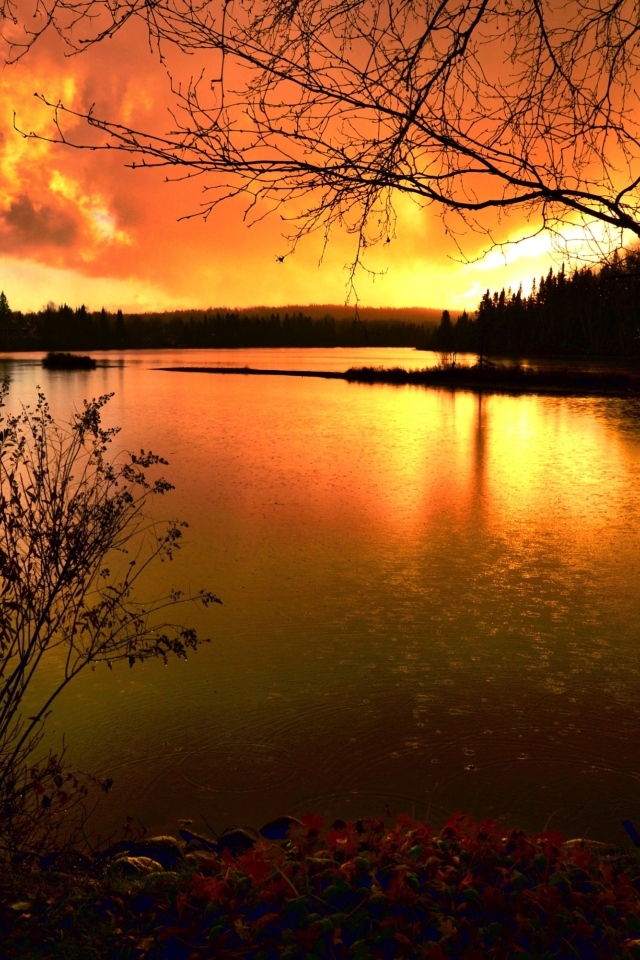 Спокойная гладь реки на закате солнца осенью 