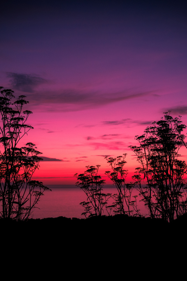 Розовый закат у тихого озера