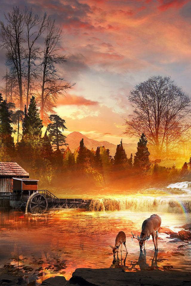 Закат солнца у лесной реки со старым домом