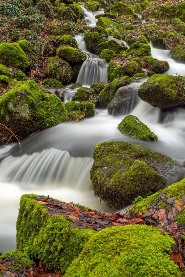 Быстрая вода лесного водопада стекает по покрытым зеленым мхом камням
