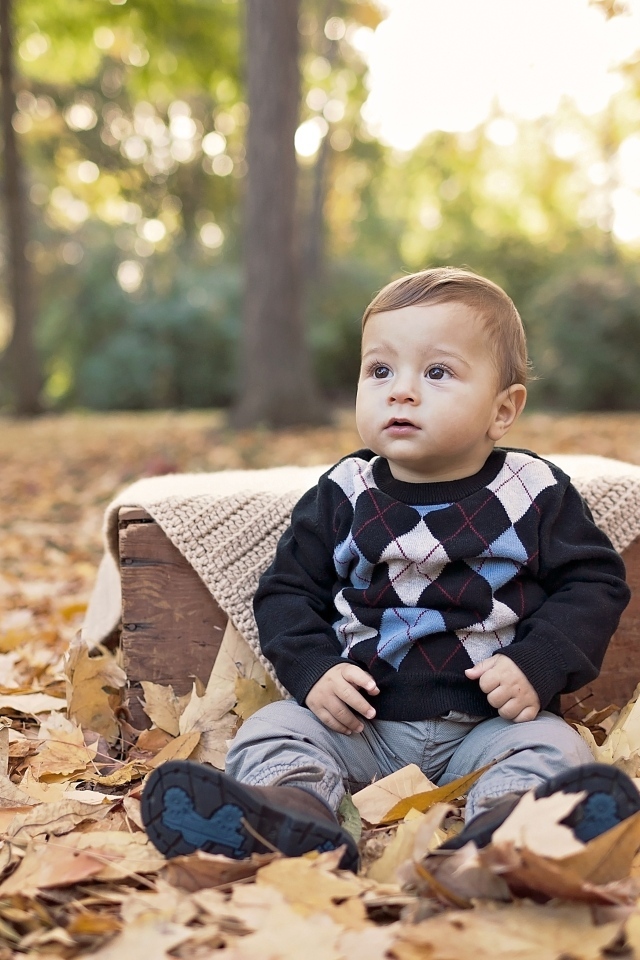Мальчик сидит на опавшей осенней листве