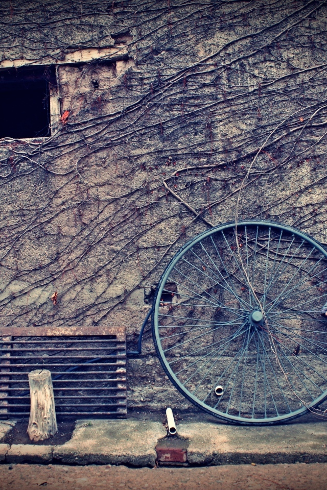 Мальчик с большим колесом стоит у стены