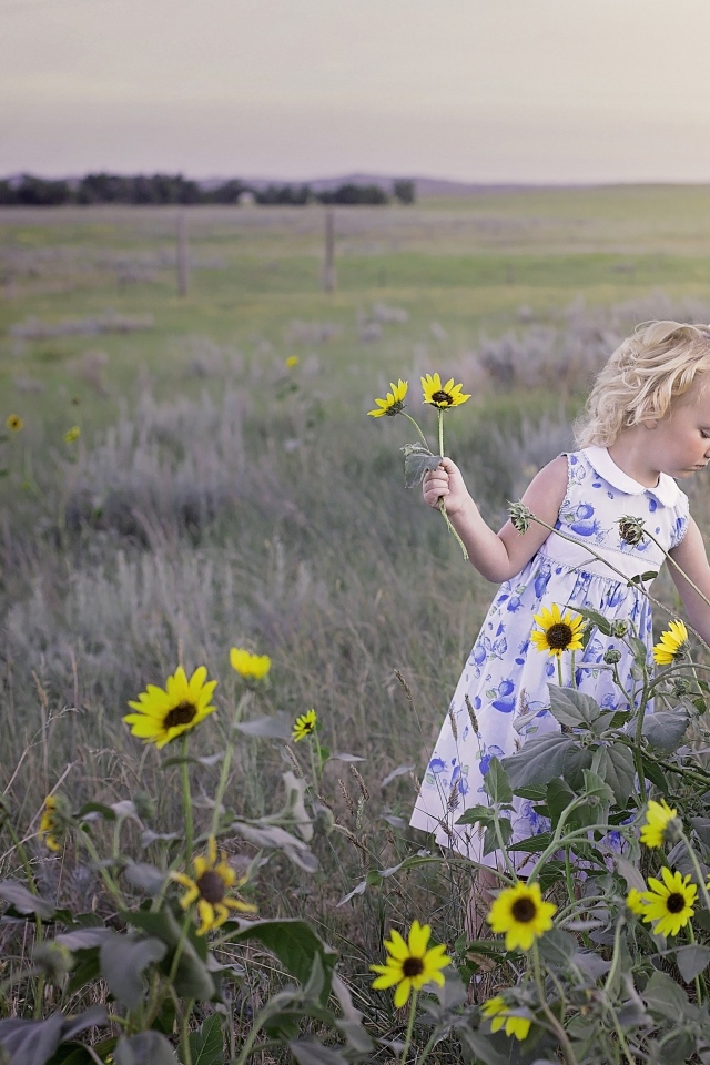 Девочка собирает на поле желтые цветы