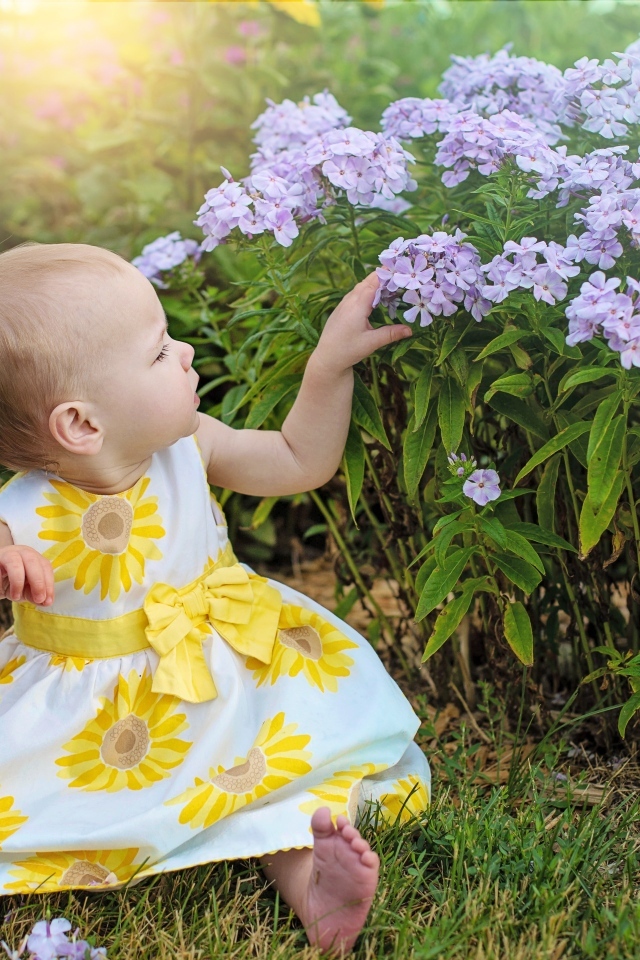 Маленькая девочка в платье сидит у цветов флокса