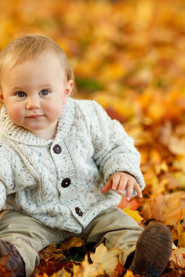 Маленький ребенок сидит на опавших осенних листьях